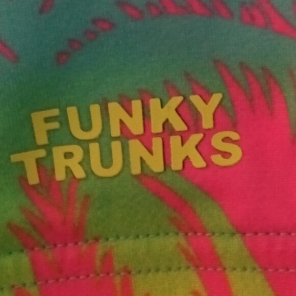 FUNKY TRUNKS SWIM JAMMER, NEON PALM PRINT, SIZE 32" (Pre-Owned) - Picture 2 of 7